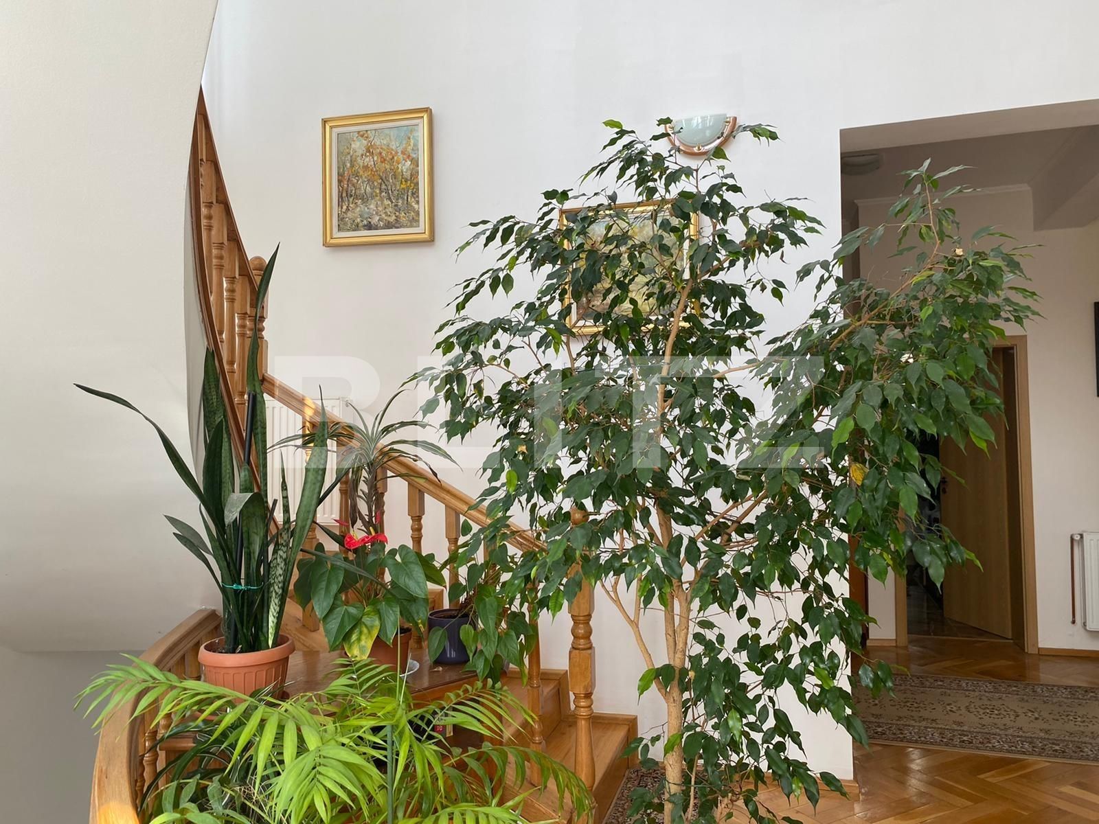 Spațiu comercial de închiriat Andrei Mureşanu - 52807SIC | BLITZ Cluj-Napoca | Poza8