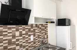 Apartament cu o camera, 37 mp, mobilat/utilat lux, zona FSEGA