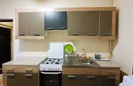 Oportunitate! Apartament cu o camera, 35.52 mp + beci + pod, zona Traian