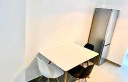 Apartament cu 2 camere, recent renovat, prima inchiriere, 45mp, zona strazii Primaverii