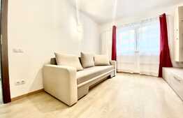 Apartament cu 2 camere, recent renovat, prima inchiriere, 45mp, zona strazii Primaverii