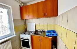Garsoniera 30 mp, pet friendly, zona strazii Negoiu