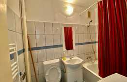 Garsoniera 30 mp, pet friendly, zona strazii Negoiu