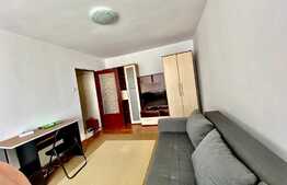 Garsoniera 30 mp, pet friendly, zona strazii Negoiu