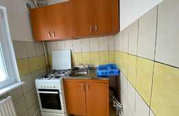 Garsoniera 30 mp, pet friendly, zona strazii Negoiu