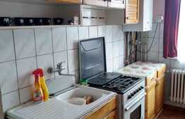Apartament 2 camere, etaj intermediar, 45 mp, zona Piata 14 Iulie