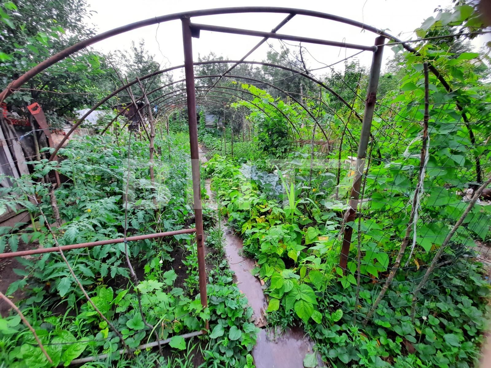 Casa de vânzare 3 camere Intre Lacuri - 52831CV | BLITZ Cluj-Napoca | Poza2