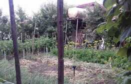 Casa individuala 5 camere, 140 mp, teren 700 mp!