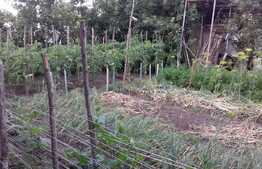 Casa individuala 5 camere, 140 mp, teren 700 mp!