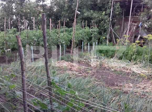 Casa de vânzare 5 camere Someseni - 52839CV | BLITZ Cluj-Napoca | Poza14