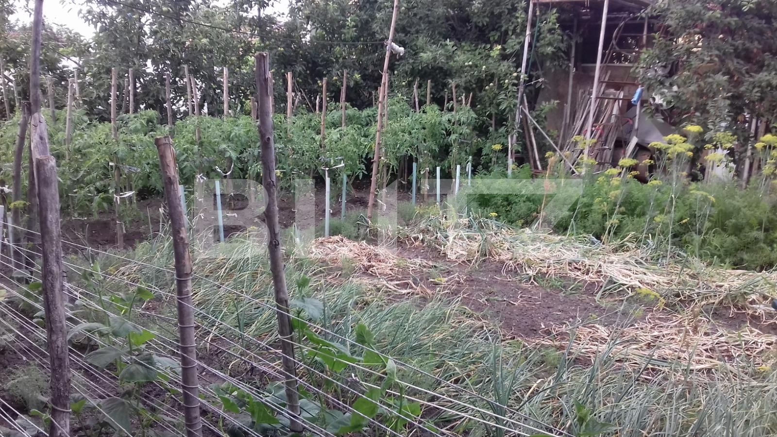 Casa de vânzare 5 camere Someseni - 52839CV | BLITZ Cluj-Napoca | Poza14