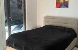 Apartament cu 2 camere, 50 mp , loc de parcare, aer conditionat, pet friendly , Cartierul Buna Ziua