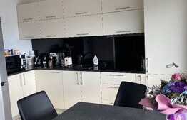 Apartament cu 2 camere, 50 mp , loc de parcare, aer conditionat, pet friendly , Cartierul Buna Ziua