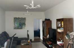 Apartament cu 2 camere, 50 mp , loc de parcare, aer conditionat, pet friendly , Cartierul Buna Ziua