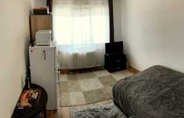 Garsoniera perfecta pentru investitie, acum la PRET REDUS! Zona FSEGA!