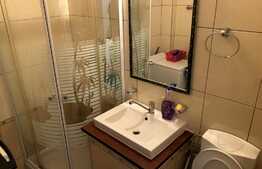 Garsoniera perfecta pentru investitie, acum la PRET REDUS! Zona FSEGA!