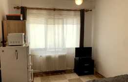 Garsoniera perfecta pentru investitie, acum la PRET REDUS! Zona FSEGA!