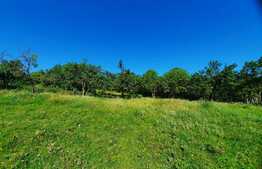 Scadere de pret,Teren 1629mp cu panorama, in Borhanci