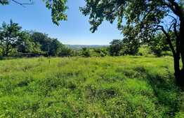 Scadere de pret,Teren 1629mp cu panorama, in Borhanci