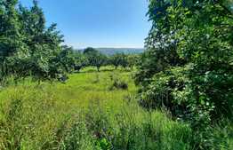 Scadere de pret,Teren 1629mp cu panorama, in Borhanci