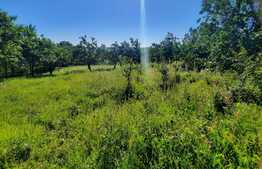 Scadere de pret,Teren 1629mp cu panorama, in Borhanci