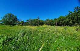 Scadere de pret,Teren 1629mp cu panorama, in Borhanci