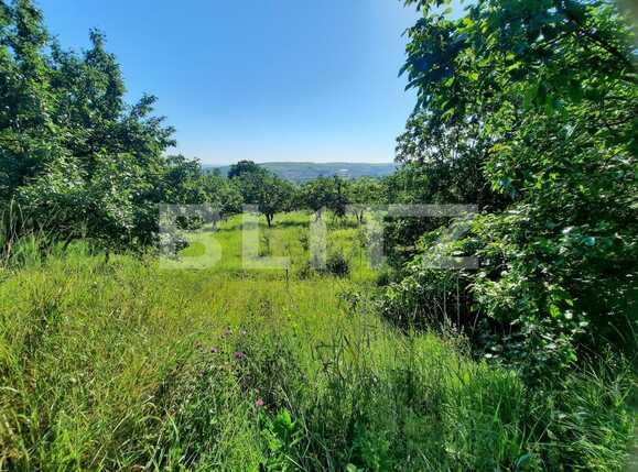 Teren de vânzare Borhanci - 52852TV | BLITZ Cluj-Napoca | Poza6