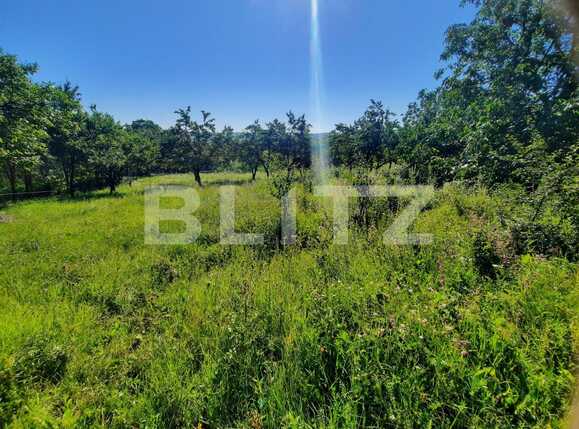 Teren de vânzare Borhanci - 52852TV | BLITZ Cluj-Napoca | Poza1