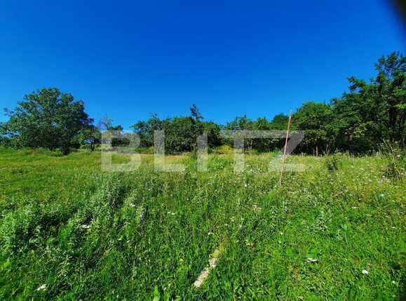 Teren de vânzare Borhanci - 52852TV | BLITZ Cluj-Napoca | Poza5