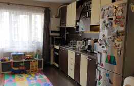 Apartament 2 camere, 47 MP, zona Petrom