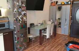 Apartament 2 camere, 47 MP, zona Petrom