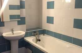 Apartament 1 camera, decomandat 50 mp, pet friendly, Intre Lacuri