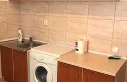 Apartament 1 camera, decomandat 50 mp, pet friendly, Intre Lacuri
