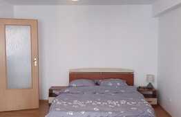 Apartament 1 camera, decomandat 50 mp, pet friendly, Intre Lacuri