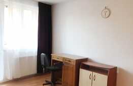 Apartament 1 camera, decomandat 50 mp, pet friendly, Intre Lacuri