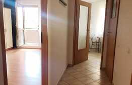 Apartament 1 camera, decomandat 50 mp, pet friendly, Intre Lacuri