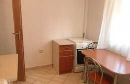 Apartament 1 camera, decomandat 50 mp, pet friendly, Intre Lacuri