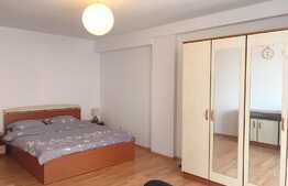 Apartament 1 camera, decomandat 50 mp, pet friendly, Intre Lacuri