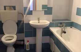 Apartament 1 camera, decomandat 50 mp, pet friendly, Intre Lacuri