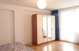 Apartament 1 camera, decomandat 50 mp, pet friendly, Intre Lacuri