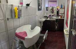 Spatiu multifunctional, 110 mp, acces separat, aflat la demisolul unei pensiuni