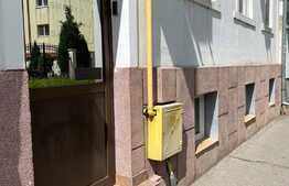 Spatiu multifunctional, 110 mp, acces separat, aflat la demisolul unei pensiuni