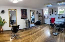 Spatiu multifunctional, 110 mp, acces separat, aflat la demisolul unei pensiuni