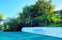 Teren de vanzare in Faget 