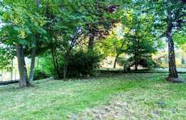 Teren de vanzare in Faget 