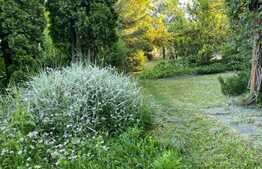 Teren de vanzare in Faget 