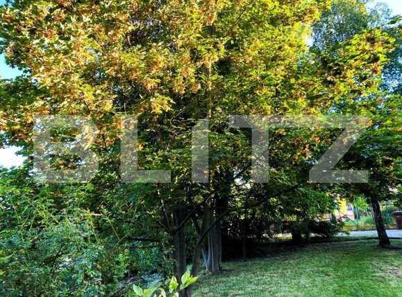 Teren de vânzare Făget - 52874TV | BLITZ Cluj-Napoca | Poza3