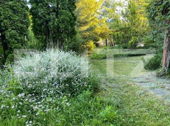 Teren de vânzare Făget - 52874TV | BLITZ Cluj-Napoca | Poza4