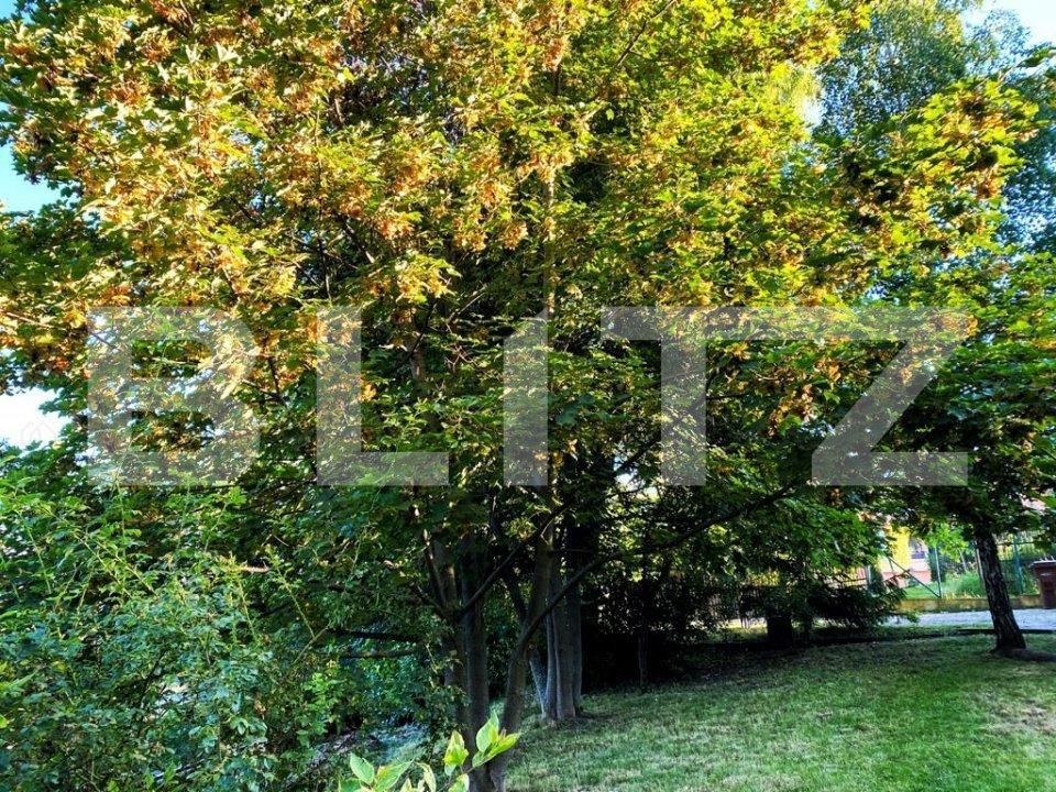 Teren de vânzare Făget - 52874TV | BLITZ Cluj-Napoca | Poza3