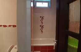 Apartament 3 camere, 55 mp, recent renovat, parcare, zona Plopilor